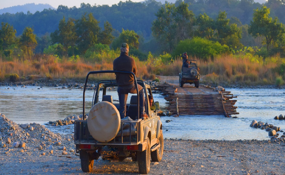 Corbett Jeep Safari