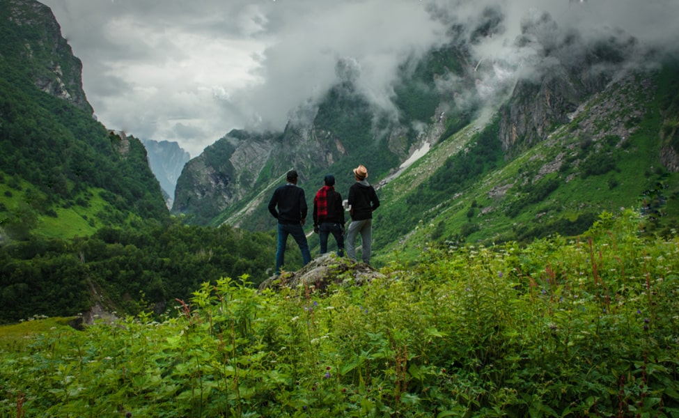 Valley Of Flower Trekking Uttarakhand